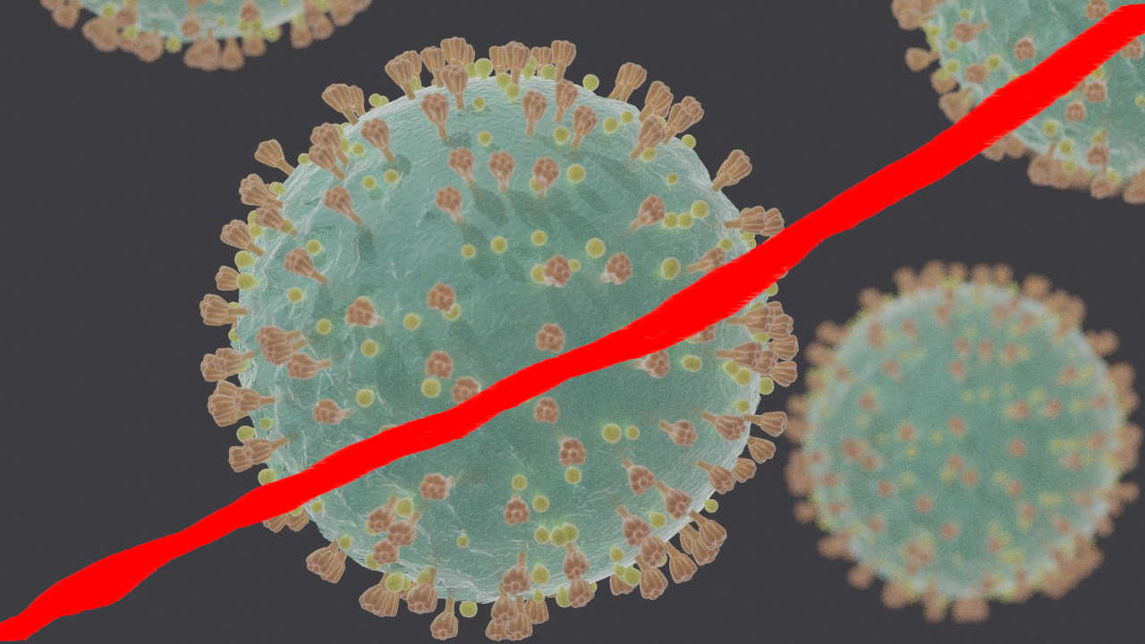 Coronavirus negative