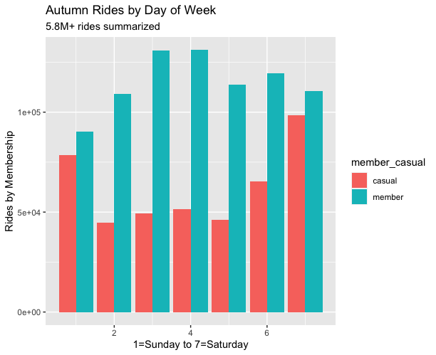 This image shows the Autumn summary of rides by day of the week