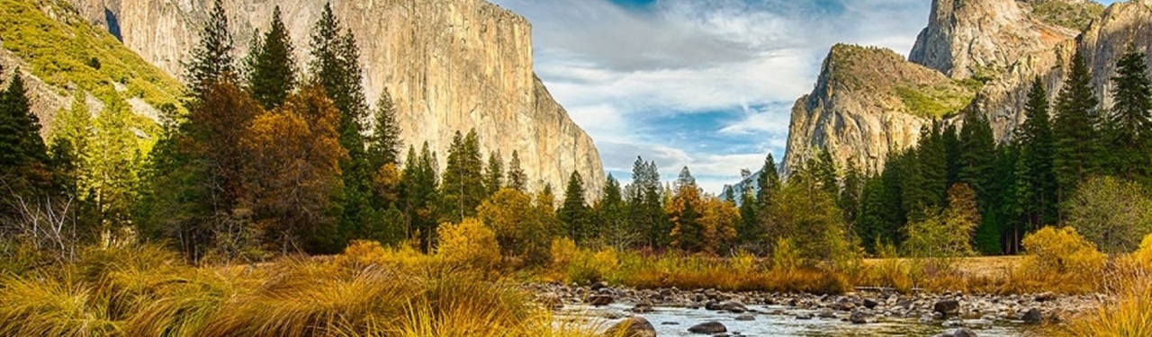 Yosemite National Park